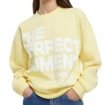 Embroidery Sweatshirt Cotton Crew Neck Oversized Hoodie  Women Heavy Hoodie