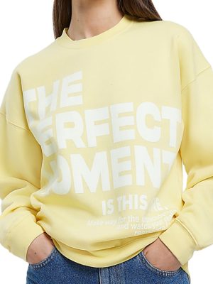 Embroidery Sweatshirt Cotton Crew Neck Oversized Hoodie  Women Heavy Hoodie